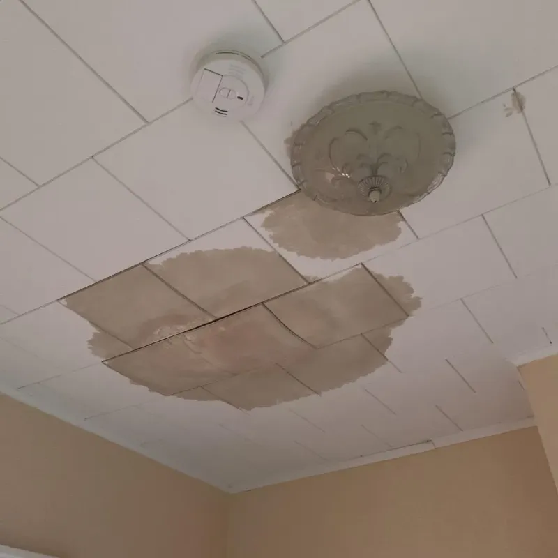 Ceiling Water Damage Repair in McComb, MS