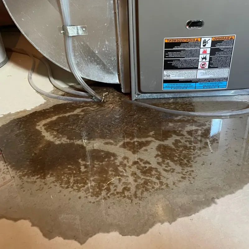 Pipe Burst and Leak Restoration in McComb, MS