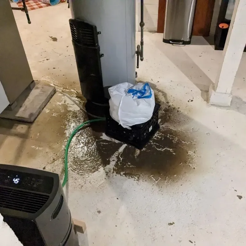 Sewage Backup Cleanup Service in McComb, MS